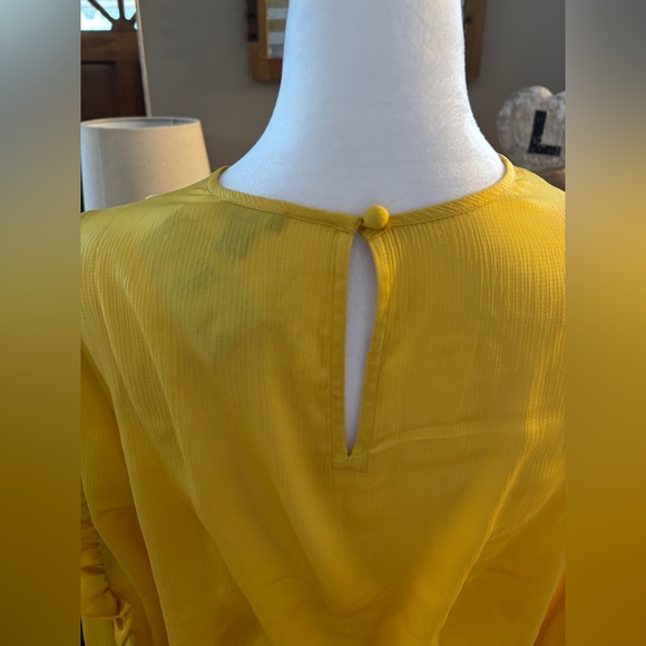 NWT Ann Taylor Ruffle Sleeve Cinched Hem Top - Picture 9 of 11